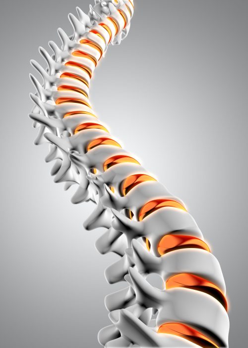 3D render of a close up of a spine with the discs highlighted