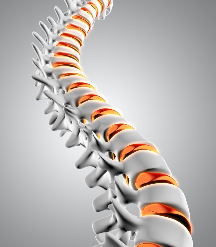 3D render of a close up of a spine with the discs highlighted