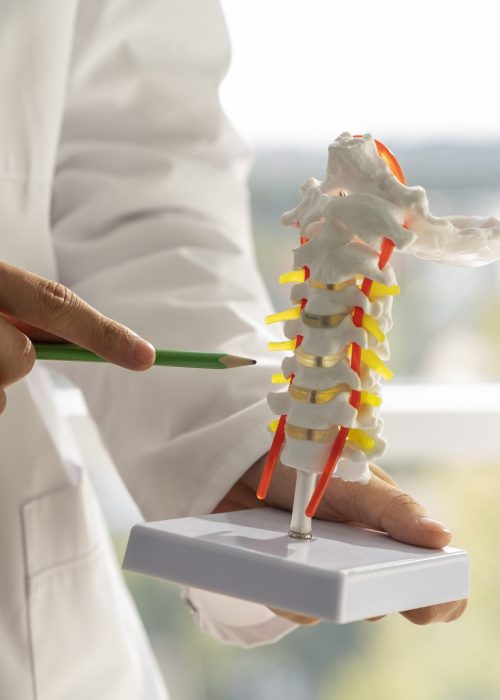 front-view-doctor-explaining-anatomy